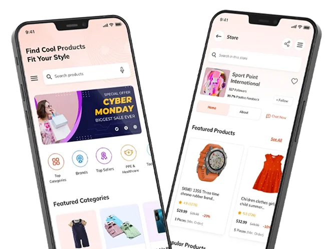Ecommerce Website Design & Development Company in Florida