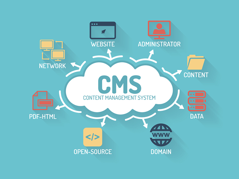 Custom CMS Development Services in Florida - Scalable Content Management Solutions