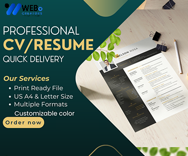 Elegant Resume Design Service, CV designs, CV writing in Florida For Gain Job
